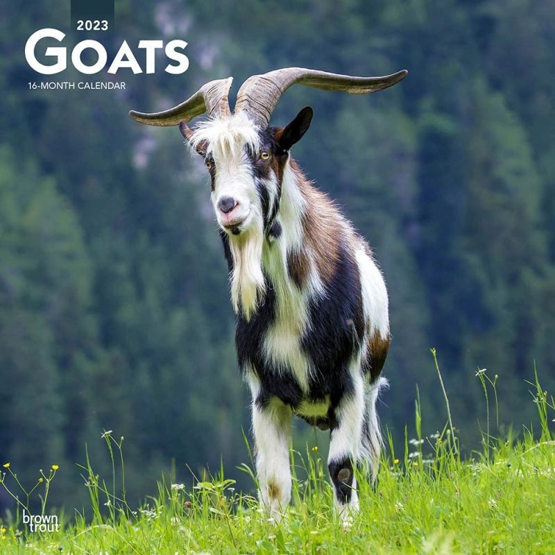 Goat Calendar for 2023